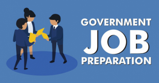Government Job Sector and Preparation Government Job Sector and Preparation