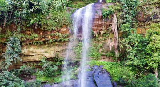 ঋজুক ঝর্ণা ঋজুক ঝর্ণা