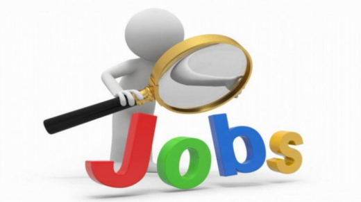 Software Developer Software Developer